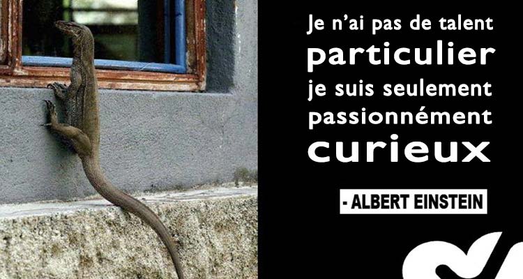curiosité-einstein